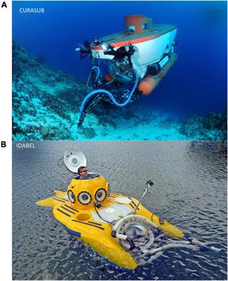 Submersibles Greatly Enhance Research on the Diversity of Deep-Reef Fishes in the Greater Caribbean